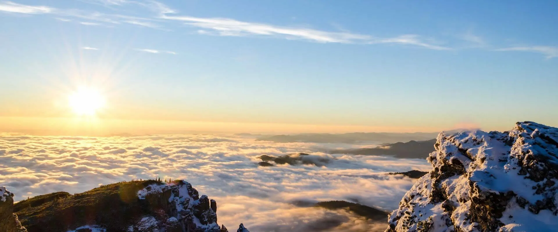 Collaborated with a respected industry leader